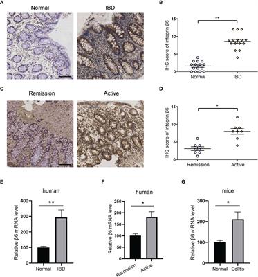 Integrin β6 deficiency protects mice from experimental colitis and colitis-associated carcinoma by altering macrophage polarization